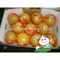 Goldener Honig Pomelo Preis